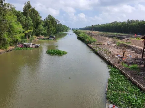 Cty Du lịch An Giang xây sân đua bò 20.000m2 không phép ở An Giang