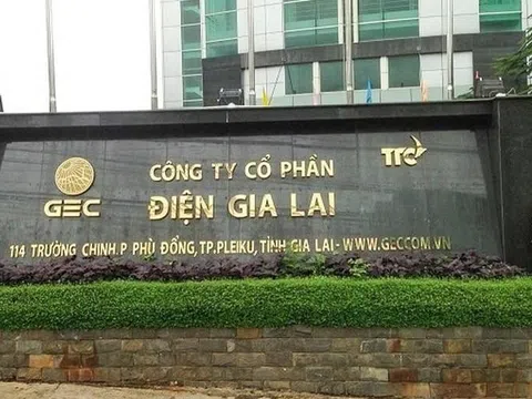 Điện Gia Lai (GEG) làm ăn ra sao trước khi bán 35% cổ phần cho tập đoàn năng lượng Nhật Bản?