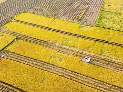 HTX Toàn Lực: Chủ tịch HĐQT thừa nhận ký khống hàng loạt giấy chứng nhận vốn góp