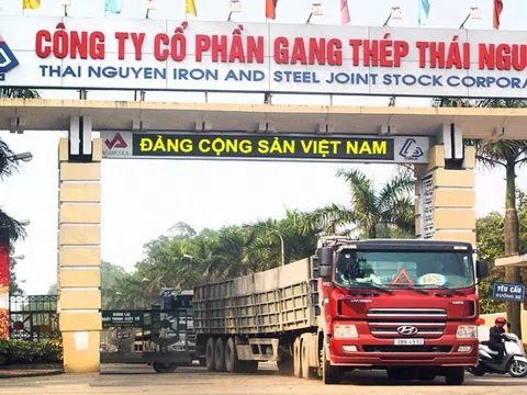 Kiểm toán "đặt dấu hỏi" về khả năng hoạt động liên tục của Gang thép Thái Nguyên