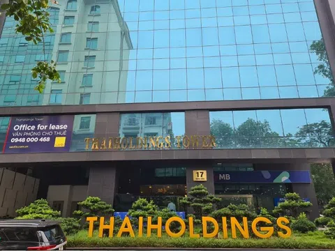 Hậu kiểm toán, doanh thu tài chính giảm gần 100 tỷ so với báo cáo tự lập, Thaiholdings nói gì?