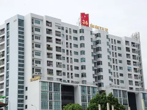 Tổng công ty 36 (G36): Đằng sau việc Chủ tịch cầm cố cổ phiếu vay vốn