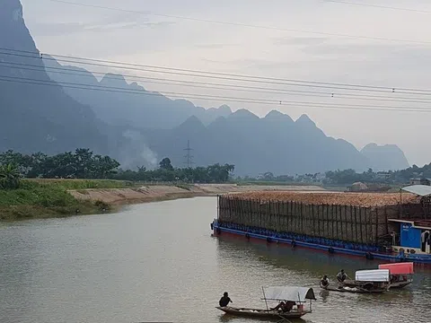 Bất thường cấu trúc nguồn vốn của nhà buôn dăm gỗ Nam Phương vừa bị công an điều tra về thuế