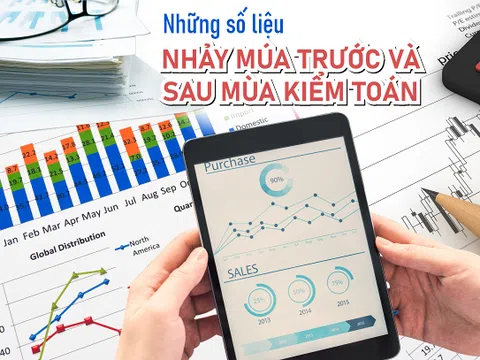 Lợi nhuận nhiều doanh nghiệp 'bốc hơi' sau mùa kiểm toán