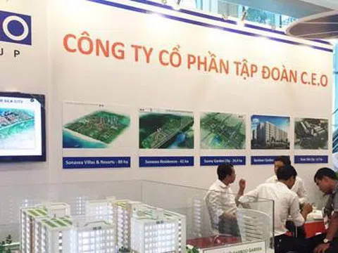 Cổ phiếu CEO “bốc hơi” hơn 70% từ đỉnh giá