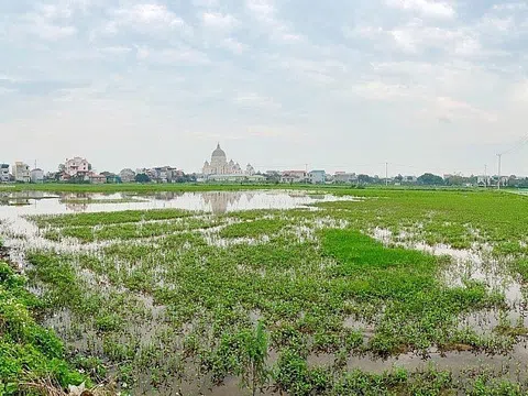 Ninh Bình: Dự án Khu dân cư Cầu Chẹm chậm tiến độ, gia hạn 2 lần vẫn chưa thể xây dựng