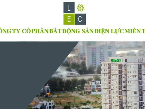 Kinh doanh èo uột, vì sao cổ phiếu LEC tăng trần liên tục 11 phiên?