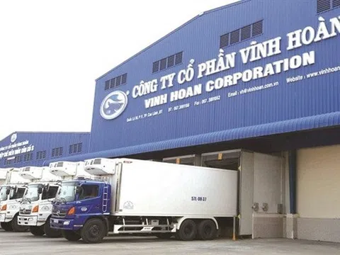 CTCP Vĩnh Hoàn (VHC) vay nợ tăng 812 tỷ trong nửa năm, giá cổ phiếu giảm sàn sau khi thay lãnh đạo