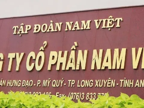 Nam Việt (AVN) nợ vay tăng 300 tỷ đồng trong nửa năm, chốt trả cổ tức bằng tiền mặt tỷ lệ 10%