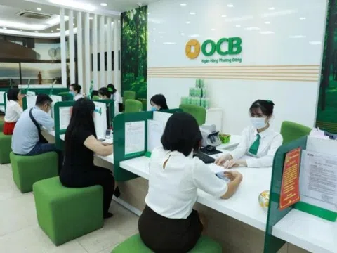 OCB nhận thế chấp hơn 2.000 lô đất của Đại Nam và 431 căn hộ của FLC