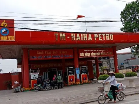 Hải Hà Petro bị Bộ Tài chính nêu tên vì "không hiểu luật" về kinh doanh xăng dầu