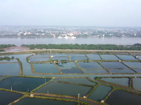 Rầm rộ rao bán dự án Eco Central Park Vinh, nhà đầu tư có nên xuống tiền?