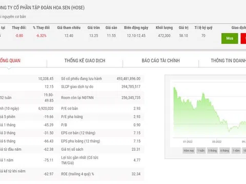 Giá giảm hơn 70%, thêm một lãnh báo bán ra cổ phiếu HSG