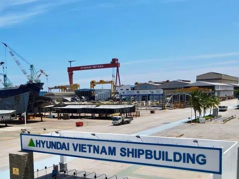 Khánh Hòa: Công ty TNHH Đóng tàu Hyundai - Việt Nam “quên” kê khai thuế GTGT hơn 84 tỷ đồng