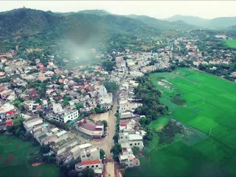 Phú Yên: Dự án trồng rừng được phê duyệt 16 năm, doanh nghiệp vẫn chưa thực hiện