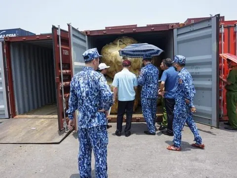 600 tấn quặng đồng của Công ty TNHH Ngọc Thiên “lọt” luồng vàng như thế nào
