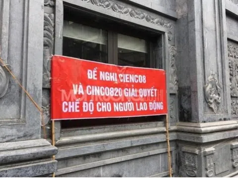 Cienco 8 và Tập đoàn Phúc Lộc 'mắc kẹt' tại những đại dự án nào?