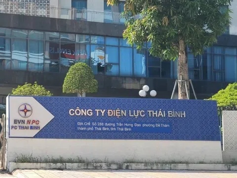 Đấu giá ở Cty Điện lực Thái Bình: Có hay không việc gây khó dễ cho đơn vị tham gia?