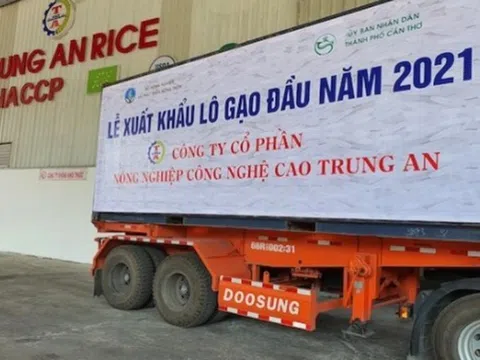 Trung An (TAR) muốn chào bán riêng lẻ 25 triệu cổ phiếu, huy động 450 tỷ đồng trả nợ ngân hàng