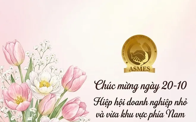 LỜI CHÚC MỪNG NGÀY PHỤ NỮ VIỆT NAM 20/10 TỪ HỘI DOANH NGHIỆP NHỎ VÀ VỪA KHU VỰC PHÍA NAM